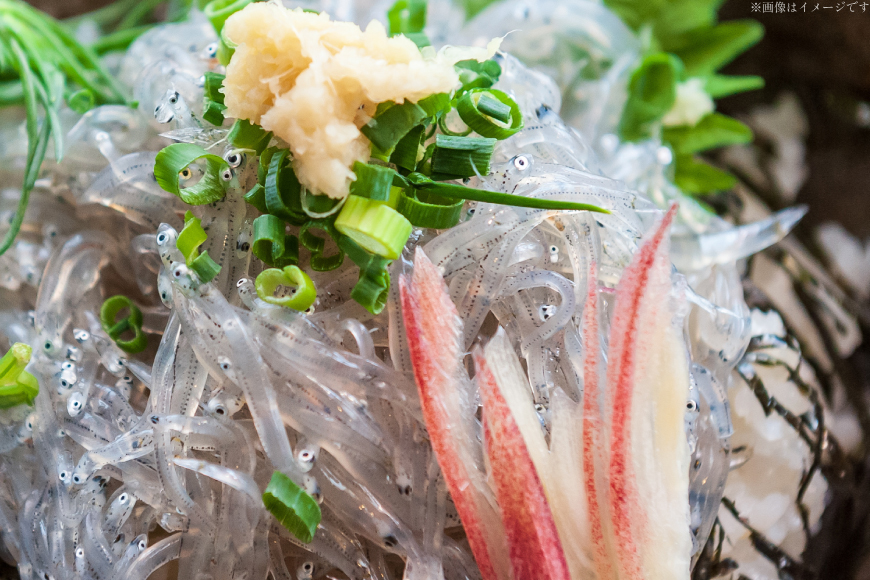 生しらす 160ｇｘ2パック と沖漬け 100g × 2パック 計520g 食べ比べ 小分け セット [丸三水産 静岡県 吉田町 22424697] しらす シラス 冷凍 海鮮 ご飯のお供