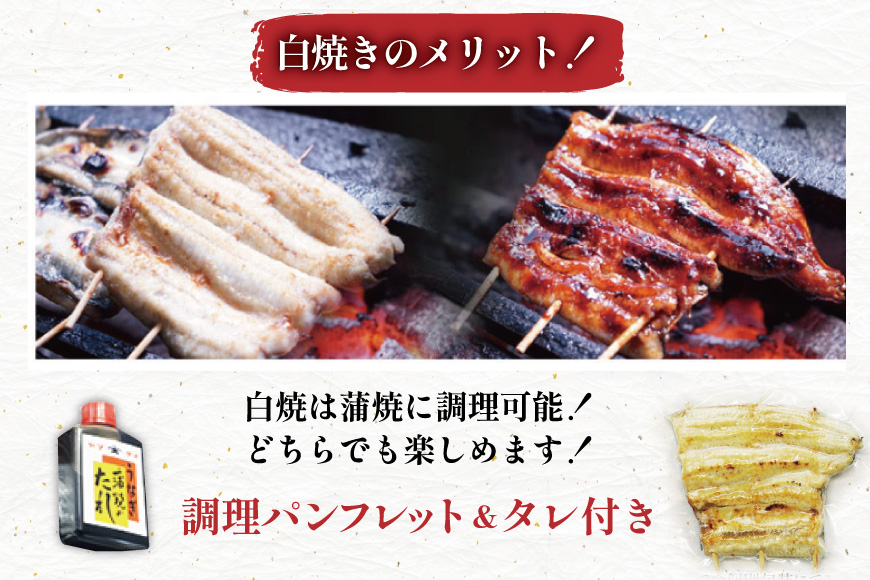 うなぎ 国産 訳あり 白焼 血抜き締め 500〜550g セット 5〜7本程度 [ヤママツ村田商店 静岡県 吉田町 22424596-b] 鰻 ウナギ unagi 白焼き うなぎ白焼 鰻白焼 炭火焼 冷凍 規格外
