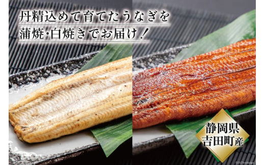 うなぎ 国産 静岡 蒲焼 白焼 各120g以上×2 計4尾 タレ山椒付き [大井川うなぎ 静岡県 吉田町 1364131] 鰻 ウナギ 真空パック 化粧箱 蒲焼き 白焼き 食べ比べ 静岡県吉田町産