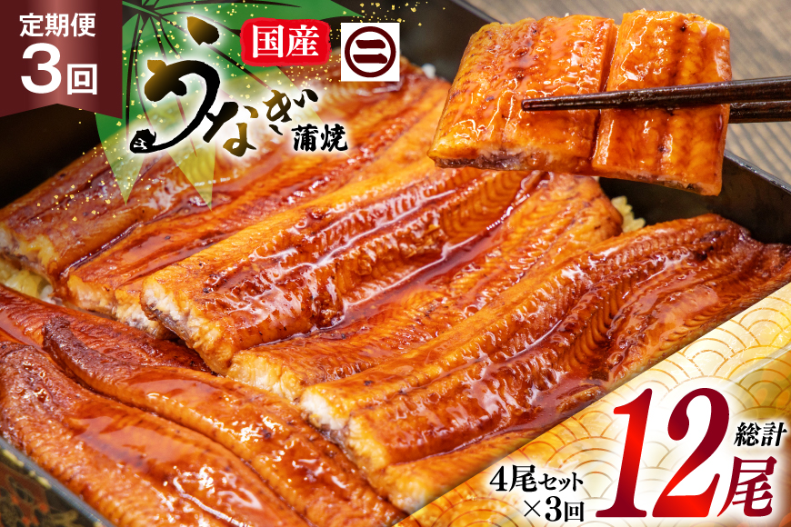 うなぎ 国産 蒲焼 定期便 145g前後 4尾 3回 総計12尾 真空パック タレ 山椒 付き 冷凍 [マルニうなぎ加工 静岡県 吉田町 22424476] 鰻 ウナギ 蒲焼き うなぎ蒲焼 うなぎ蒲焼き 鰻蒲焼き ウナギ蒲焼き 国産うなぎ蒲焼き unagi