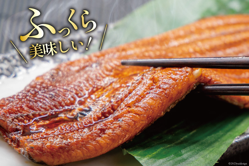 うなぎ 国産 静岡 定期便 蒲焼 2尾 & 白焼 2尾 3回 総計12尾 食べ比べセット [大井川うなぎ 静岡県 吉田町 22424563] 静岡県産 鰻 ウナギ ungai 蒲焼き うなぎ蒲焼き 鰻蒲焼 白焼き タレ たれ 山椒 真空パック 冷凍