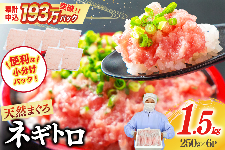 【ZIP!で紹介】ネギトロ 250g×6p 計1.5kg 小分け パック [マルハニチロオーシャン 静岡県 吉田町 22424374] ねぎとろ まぐろたたき 天然 マグロ めばち きはだ 1kg以上 冷凍 魚介 海鮮