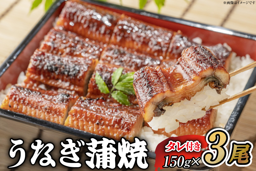 うなぎ うなぎ蒲焼 150g×3尾 タレ 山椒 セット [むらた商会 静岡県 吉田町 22424740] 鰻 ウナギ 蒲焼き たれ 惣菜 おかず 鰻重 うな丼 鰻丼 うなぎ料理 鰻料理 冷凍