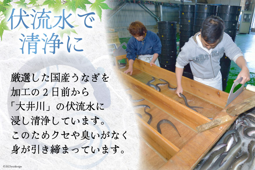 うなぎ 国産 蒲焼 肉厚 145g前後×4 真空パック タレ山椒付き [マルニうなぎ加工 静岡県 吉田町 1033480] 鰻 ウナギ 蒲焼き 化粧箱 冷凍