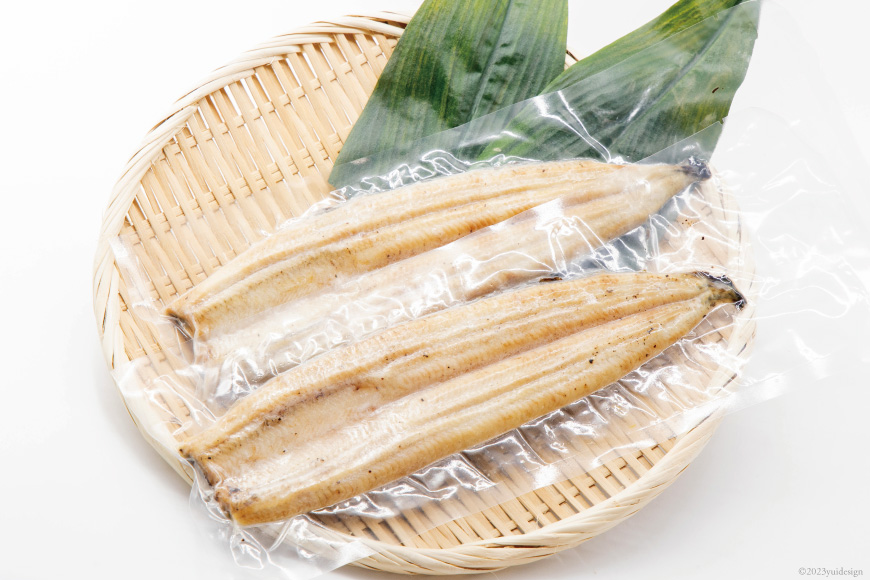 うなぎ 国産 静岡 定期便 蒲焼 2尾 & 白焼 2尾 6回 総計24尾 食べ比べセット [大井川うなぎ 静岡県 吉田町 22424562] 静岡県産 鰻 ウナギ ungai 蒲焼き うなぎ蒲焼き 鰻蒲焼 白焼き タレ たれ 山椒 真空パック 冷凍