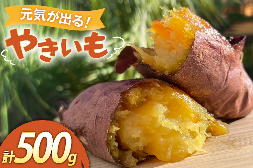 【期間限定発送】 焼き芋 「元気が出るやきいも（フローズン）」紅はるか 500g 冷凍 [うみとやきいもラッキーズ 静岡県 吉田町 22424682] やきいも 焼きいも 焼芋 ヤキイモ 焼イモ おいも 芋 いも べにはるか さつま芋 さつまいも サツマイモ おやつ スイーツ
