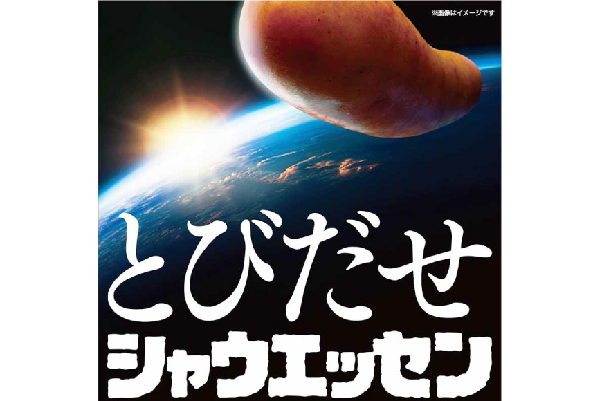 定期便 シャウエッセン 117g(約6本入) 2束 6袋 計1.404kg 3回 総計4.212kg [ 日本ハム マーケティング 静岡県 吉田町 22424430] 冷蔵 小分け ウインナー ウィンナー ソーセージ 粗びき 粗挽き あらびき 業務用 惣菜 弁当 お弁当 おかず おつまみ バーベキュー