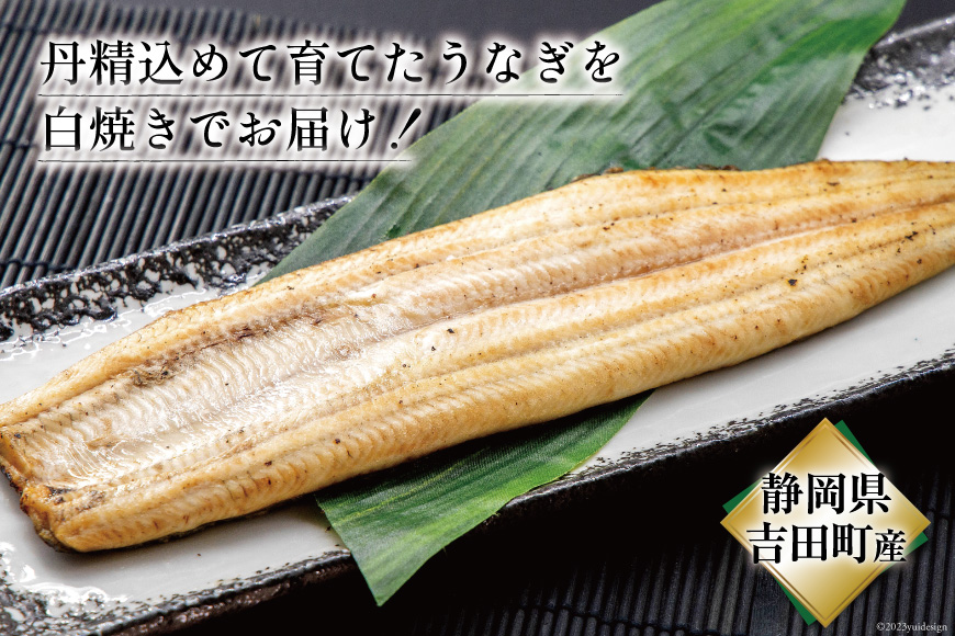 うなぎ 国産 定期便 白焼 150g以上 2尾 3回 総計6尾 タレ 山椒 付き [大井川うなぎ 静岡県 吉田町 22424565] 鰻 ウナギ unagi 白焼き 鰻白焼き 真空パック 冷凍 静岡県産