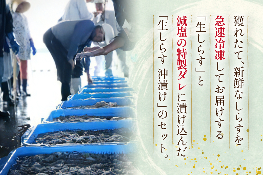 生しらす 160ｇｘ2パック と沖漬け 100g × 2パック 計520g 食べ比べ 小分け セット [丸三水産 静岡県 吉田町 22424697] しらす シラス 冷凍 海鮮 ご飯のお供