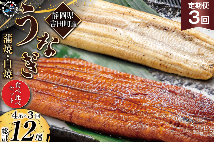 うなぎ 国産 静岡 定期便 蒲焼 2尾 & 白焼 2尾 3回 総計12尾 食べ比べセット [大井川うなぎ 静岡県 吉田町 22424563] 静岡県産 鰻 ウナギ ungai 蒲焼き うなぎ蒲焼き 鰻蒲焼 白焼き タレ たれ 山椒 真空パック 冷凍