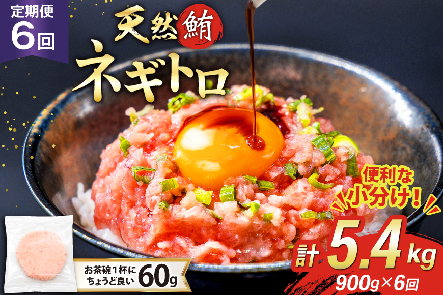 6回 定期便 天然 マグロ ネギトロ まぐろたたき 冷凍 60g 15個 計900g [トライ産業 静岡県 吉田町 22424393] 小分け 個包装 まぐろのたたき 鮪 まぐろ ネギトロ丼 ねぎとろ マグロたたき