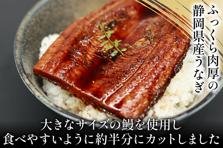 うなぎ 国産 静岡 うなぎ蒲焼 ハーフカット 100g ×6 計600g [静岡鰻販売 静岡県 吉田町 22424172] 鰻 ウナギ うなぎ蒲焼き うなぎ蒲焼 真空パック 冷凍 蒲焼 肉厚 ふっくら 静岡県産