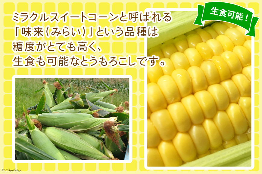 【期間限定発送】【糖度平均18度以上】とうもろこし 朝どれミラクルスイートコーン「味来」5kg箱 10〜13本 [桑高農園 静岡県 吉田町 22424254] コーン トウモロコシ スイートコーン 朝採り 朝採れ 甘い