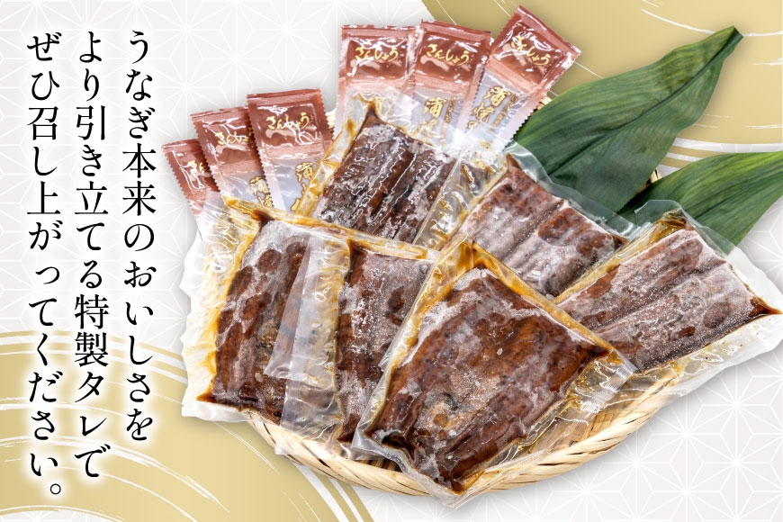 うなぎ 国産 静岡 うなぎ蒲焼 ハーフカット 100g ×6 計600g [静岡鰻販売 静岡県 吉田町 22424172] 鰻 ウナギ うなぎ蒲焼き うなぎ蒲焼 真空パック 冷凍 蒲焼 肉厚 ふっくら 静岡県産