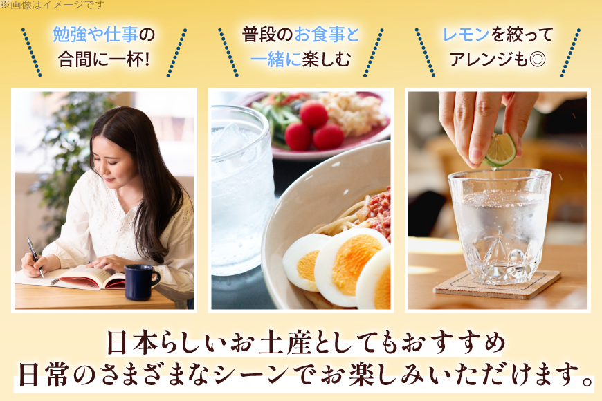 サイダー 東海道サイダー 340ml × 10本 [翔栄通商 静岡県 吉田町 22424717] 炭酸 炭酸飲料 瓶 ソーダ 浮世絵 ご当地サイダー 木村飲料