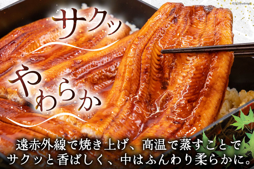 うなぎ 国産 蒲焼 肉厚 145g前後×2 真空パック タレ山椒付き [マルニうなぎ加工 静岡県 吉田町 22424067] 鰻 ウナギ 蒲焼き 化粧箱 冷凍