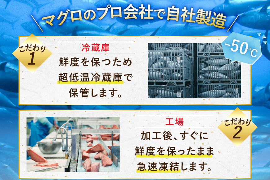 【ZIP!で紹介】天然まぐろ使用 ネギトロ 小分け 計1.5kg(15パック入り)[Umios オーシャン 静岡県 吉田町 22424262] ねぎとろ ネギトロ丼 手巻き寿司 まぐろたたき 天然 まぐろ マグロ 鮪 めばち きはだ 約100g 冷凍 魚介 海鮮 ねぎトロ ネギとろ 個包装