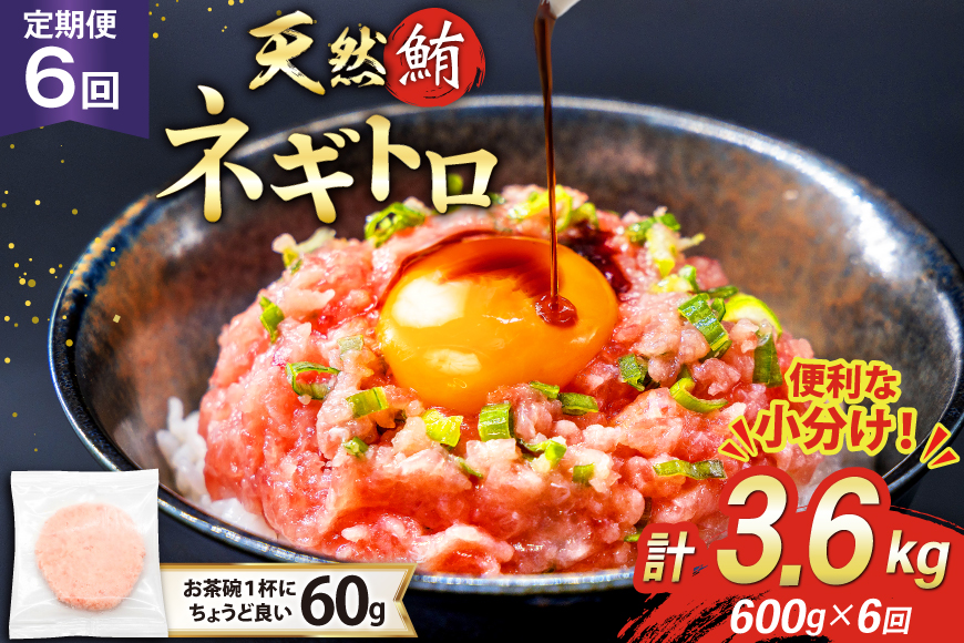6回 定期便 天然 マグロ ネギトロ まぐろたたき 冷凍 60g 10個 計600g [トライ産業 静岡県 吉田町 22424390] 小分け 個包装 まぐろのたたき 鮪 まぐろ ネギトロ丼 ねぎとろ マグロたたき