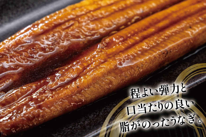 うなぎ 国産 蒲焼 定期便 160g程度 2尾 3回 総計6尾 960g以上 タレ山椒付き 真空パック 個包装 [駿河淡水 静岡県 吉田町 22424513] 静岡県産 静岡 鰻 ウナギ うなぎ蒲焼 鰻蒲焼き 蒲焼き かば焼き 化粧箱 冷凍 unagi