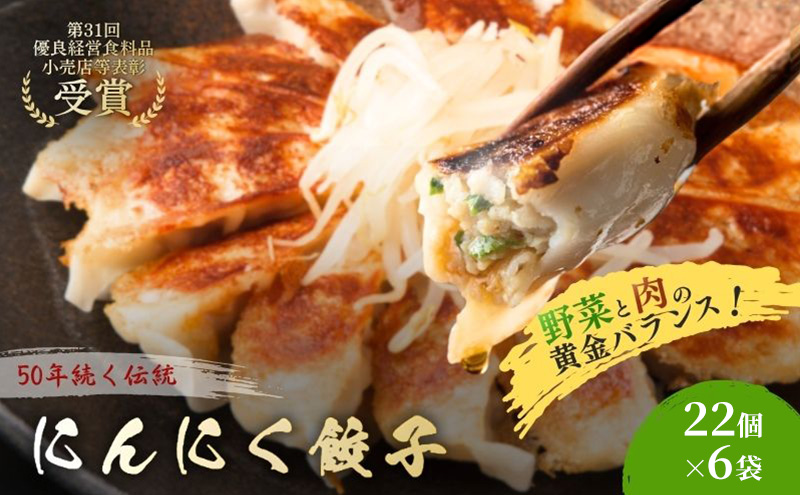 にんにく餃子132個(22個×6袋) 餃子 冷凍餃子 冷凍ギョーザ 手作り餃子 ギョーザ 点心 中華 中華料理 惣菜 簡単調理 加工食品 静岡県 森町