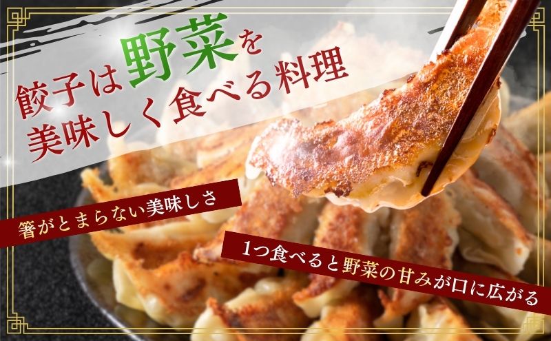 にんにく餃子66個(22個×3袋)12か月連続お届け 餃子 冷凍餃子 冷凍ギョーザ 手作り餃子 ギョーザ 点心 中華 中華料理 惣菜 簡単調理 加工食品 静岡県 森町