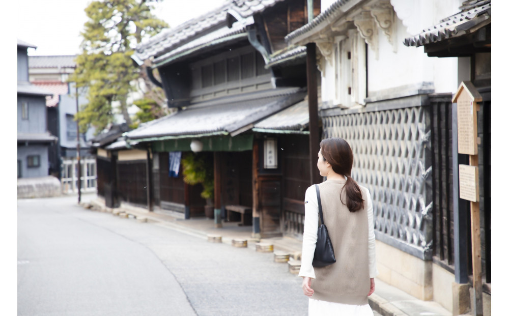 ææŸã»é³Žæµ·çµã ããŸå£å°éå
¥ãïŒç·ïŒ-éªè±çµã-ãèæã颚ã«ãããæ¥æ¬éºç£ã®ãŸã¡ææŸå¯ééå°çšã