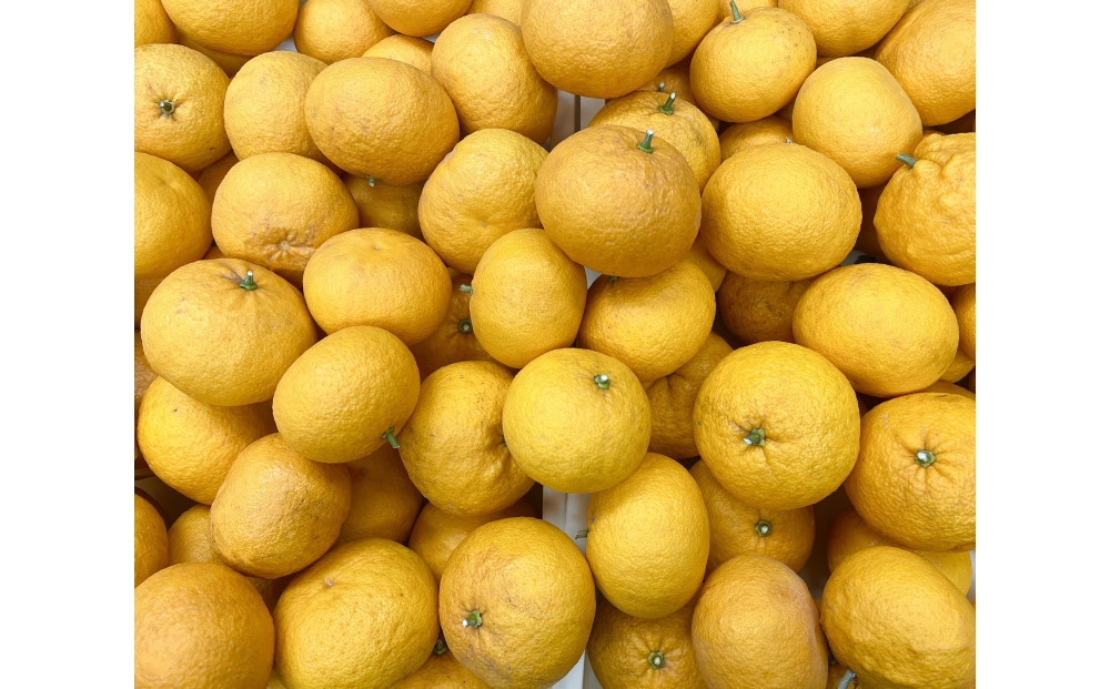 夏みかん ルームフレグランスミスト