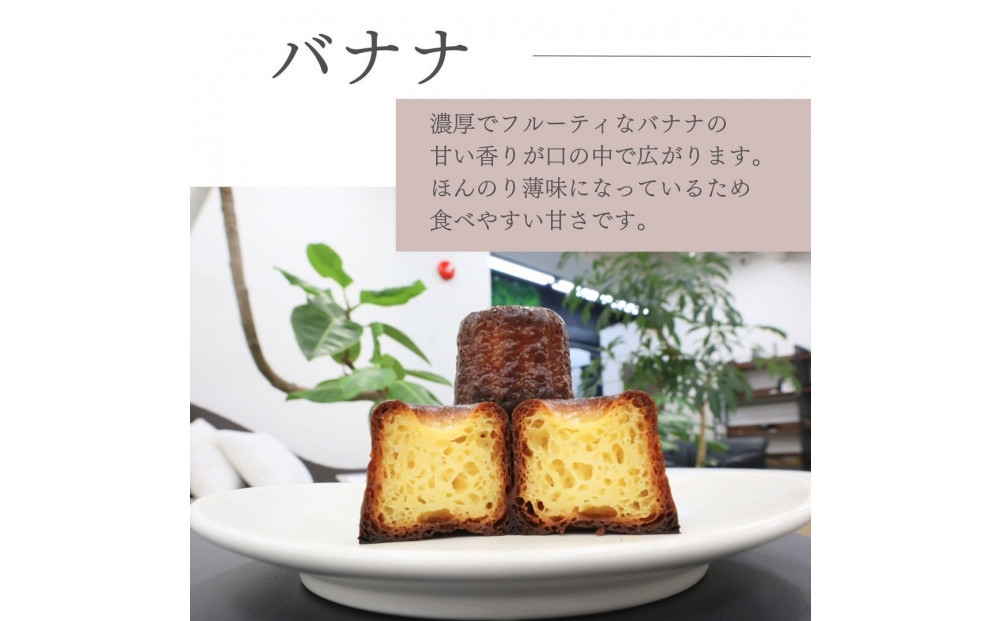 ãæãäžããã«ã㬠ã¢ãœãŒãã»ãã21åå
¥ãã5çš®ã®ãã¬ãŒããŒããã©ã³ã¹ã®çŒãèå ã¹ã€ãŒã çŸå³ãã ãããã å·å æç¥ç äººæ° é«çŽ