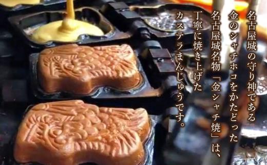 【名古屋市長賞受賞】金シャチ焼わけあり10個入セット（簡易包装） カステラまんじゅう