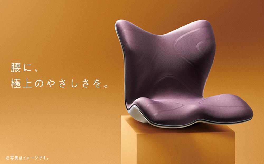 Style PREMIUM【ブラック】 | スタイルプレミアム 骨盤 椅子 座椅子 姿勢サポート 姿勢矯正 健康グッズ 人気 おすすめ 腰痛対策 体幹サポート 美姿勢 健康器具 送料無料 名古屋市