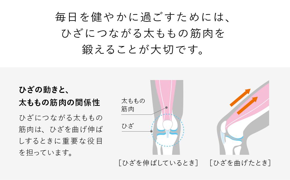 【Lサイズ】SIXPAD Knee Fit