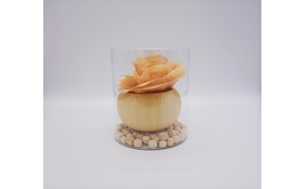 森ã®ããããã²ã®ãã®è±ã®ãã£ãã¥ãŒã¶ãŒ