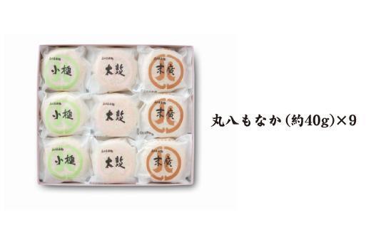 【３種の賑やかな味わい】丸八もなか9個入 和菓子