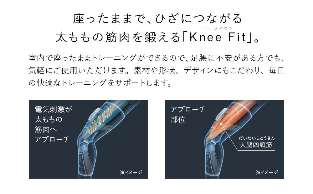 【Lサイズ】SIXPAD Knee Fit