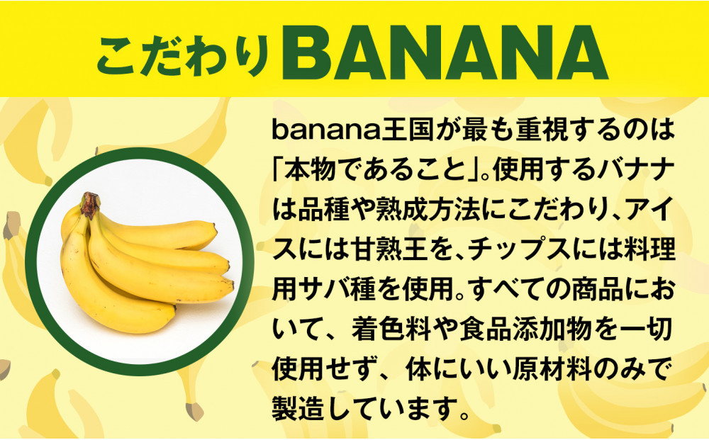 【定期便12ヶ月】【軽やかな食感の贅沢おやつ】プレミアムバナナチップス 120g 5袋 ｜ドライフルーツ おやつ スナック お菓子 軽食 スイーツ サクサク おつまみ ギフト プレゼント お配り 家庭用 子供 女性向け おしゃれ お取り寄せ 愛知県 名古屋市
