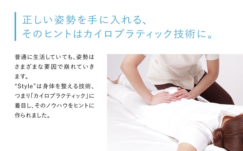 Style Standard【ブラックN01 生地無し仕様】 | スタイルスタンダード 姿勢サポート 骨盤ケア 姿勢矯正 椅子 チェア 腰痛対策 体幹サポート 健康器具 人気 おすすめ 美姿勢 送料無料 名古屋市