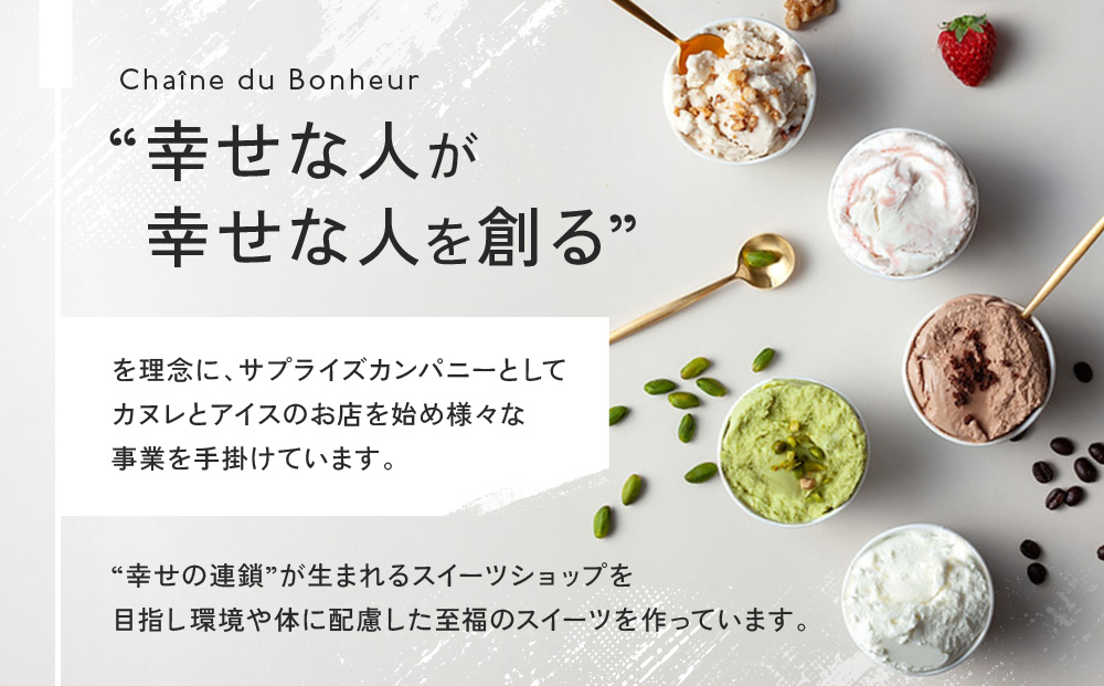 【全３回】＜パティシエ手作り＞至福のアイス6個セット【3ヶ月定期便】