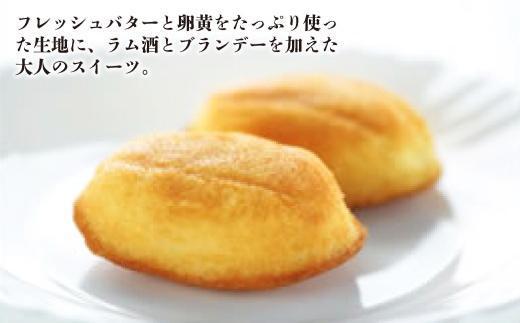 【大人のマドレーヌ】ナビエール14個入