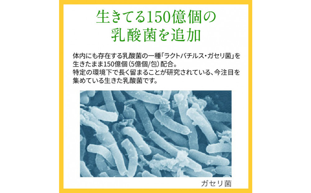 千年酵素 酵素 酵母 乳酸菌 配合 サプリメント 30包 栄養機能食品 ビタミンB1