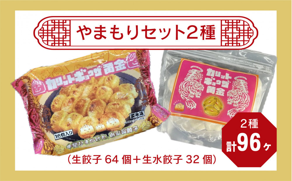 カリットギョウザ やまもりセット２種（96ケ）餃子 64 水餃子 32