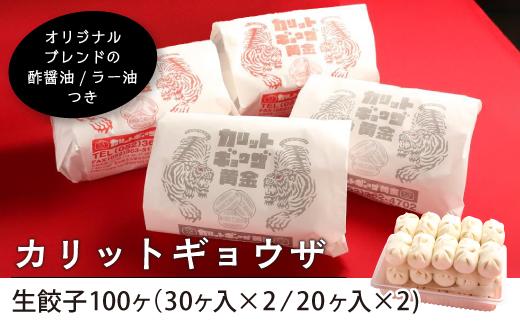 カリットギョウザ生餃子100ケ【9〜10人前】ジューシー