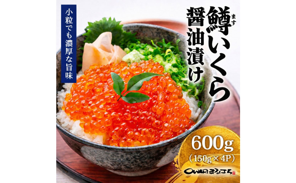 いくら 醤油漬け 600g(150g×4P) 鱒の卵 化粧箱入 冷凍 尾張まるはち | いくら イクラ いくら醤油漬け 冷凍 鱒卵 醤油漬け 化粧箱入り 贈答用 高級 グルメ 人気 おすすめ 海鮮 魚卵 送料無料