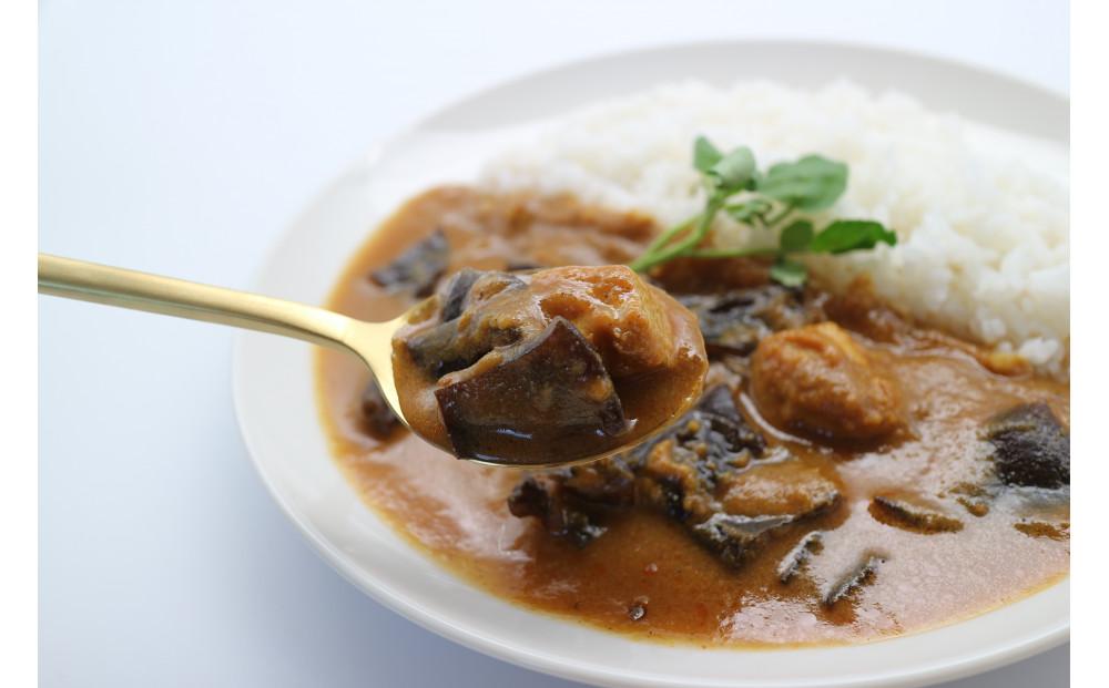 国産きくらげ入りカレー　tororino 詰め合わせ　5食セット (手作りカレー2食、スパイスカレー3食)