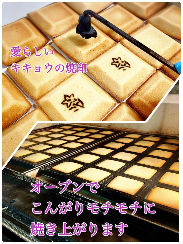 邀ウ邊峨〒菴懊▲縺滄、螻九ョ繝輔ぅ繝翫Φ繧キ繧ァ6蛟句・繧