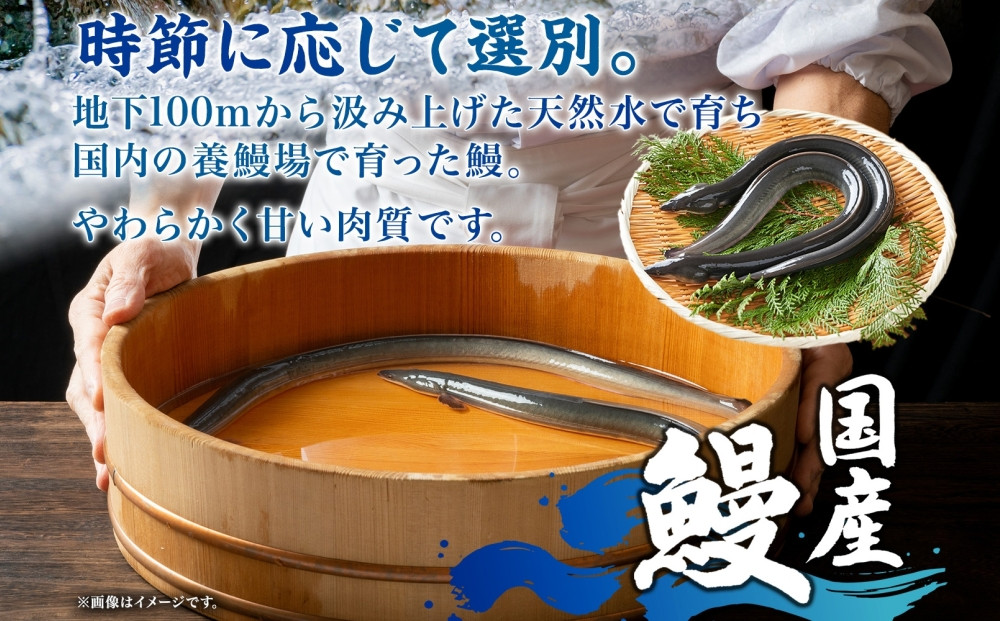 名古屋 うなぎのしら河 国産 鰻 ひつまぶし倶楽部２人前蒲焼き 240g  国産 うなぎ 名物 櫃まぶし ウナギ お茶漬け ギフト お取り寄せ グルメ 送料無料 愛知県 名古屋市