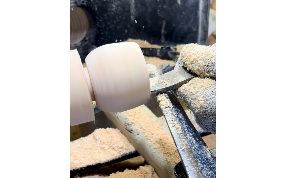 森ã®ããããã²ã®ãã®è±ã®ãã£ãã¥ãŒã¶ãŒ