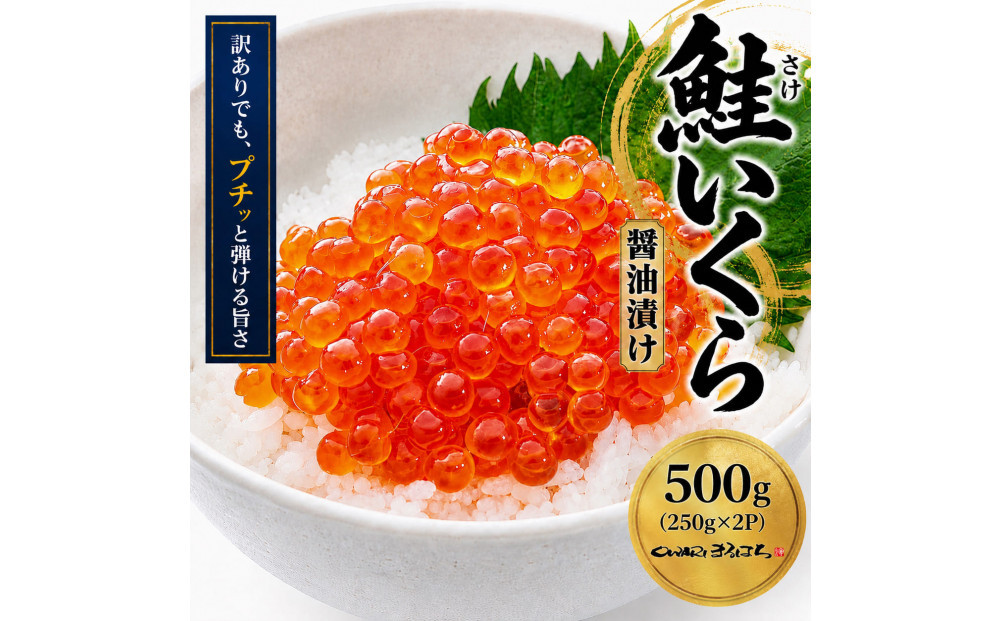 訳あり いくら醤油漬け 鮭卵 化粧箱入 500g(250gx2P)  尾張まるはち