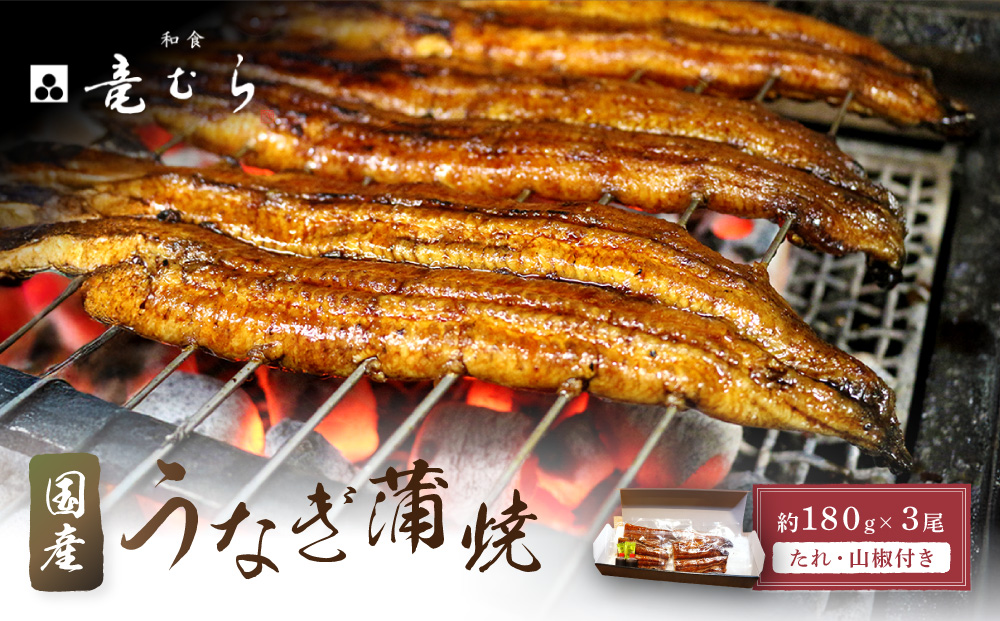 【炭火・職人手焼き】　国産うなぎ蒲焼　約180g×3尾・たれ・山椒　和食竜むら