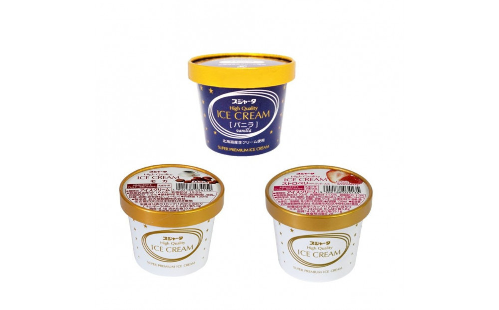 【1/6より順次発送】アイス 11個 詰合せ【モカ入り】 シンカンセンスゴイカタイアイス