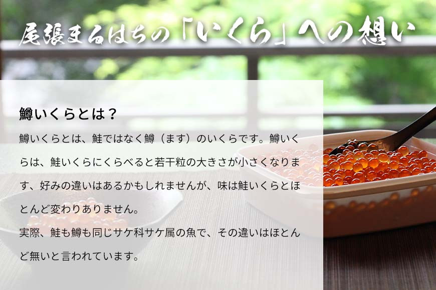 いくら 醤油漬け 1kg 鱒の卵 冷凍 尾張まるはち